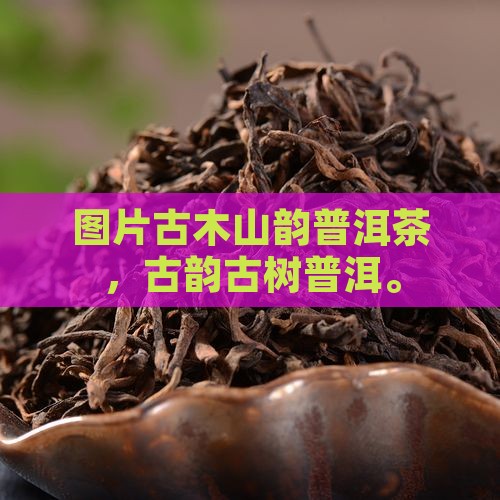 古木山韵普洱茶