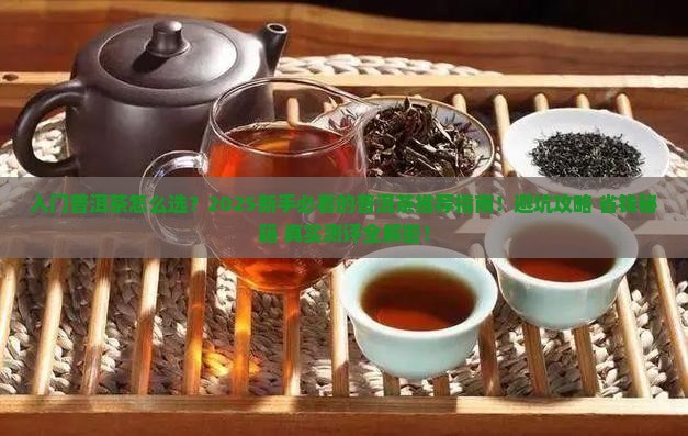 推荐入门级的普洱茶
