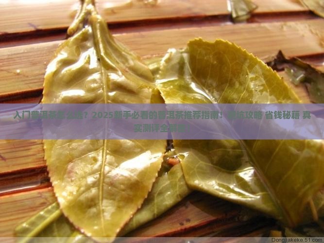 推荐入门级的普洱茶