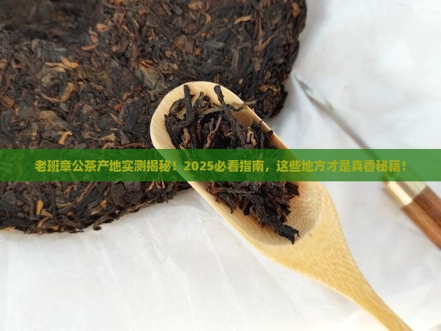 老班章公茶产地