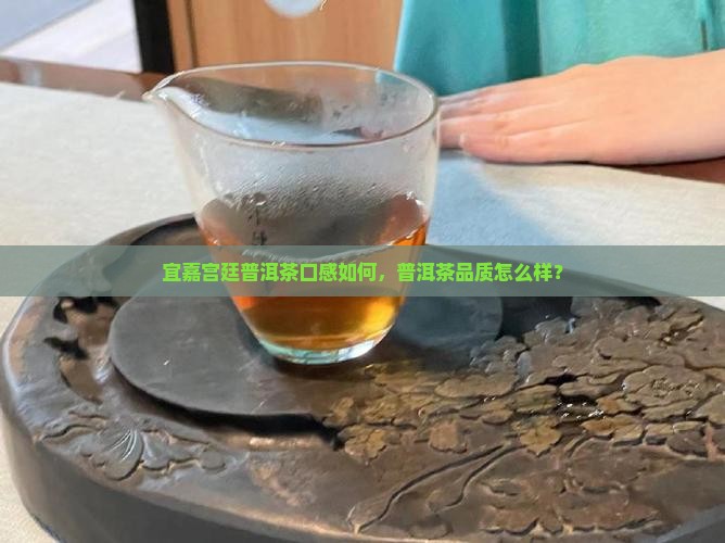 宜嘉宫廷普洱茶怎么样好喝吗