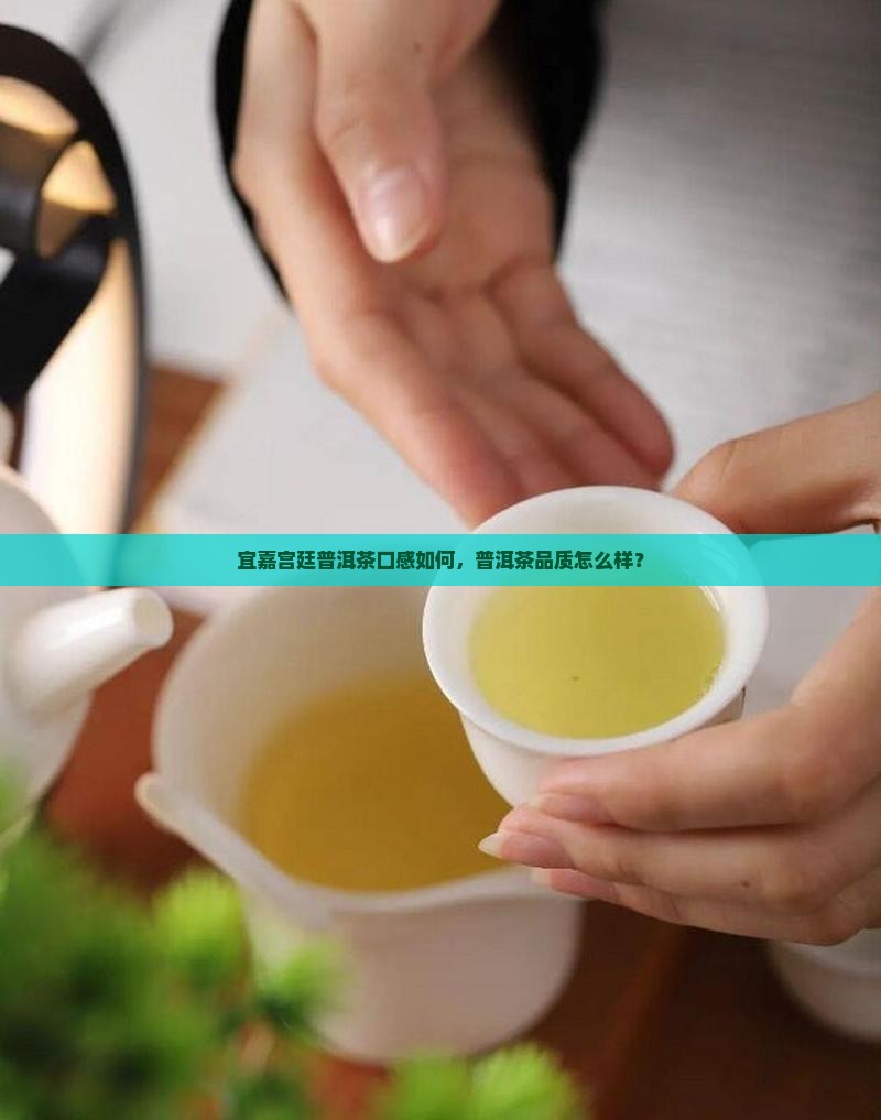 宜嘉宫廷普洱茶怎么样好喝吗