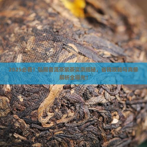 弘闻普洱茶紫茶