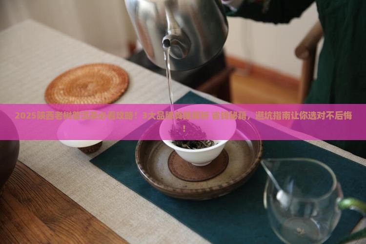 陕西老树普洱茶哪家好