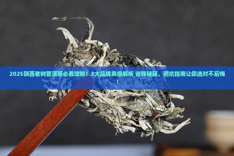 陕西老树普洱茶哪家好