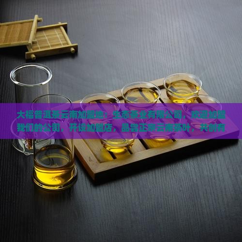 今大福普洱茶云南加盟地