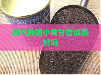肺气肿喝小青甘普洱茶好吗