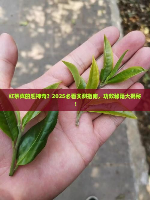 红茶的作用功效
