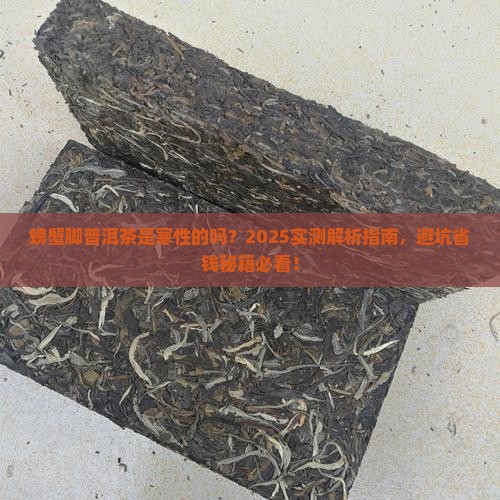 螃蟹脚普洱茶是寒性的吗