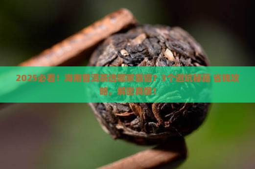海南普洱茶哪家靠谱