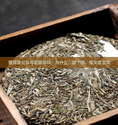 普洱茶公众号套路深吗