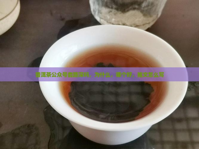 普洱茶公众号套路深吗