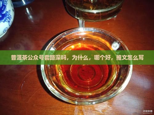 普洱茶公众号套路深吗