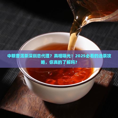 中粮普洱茶深圳总代理