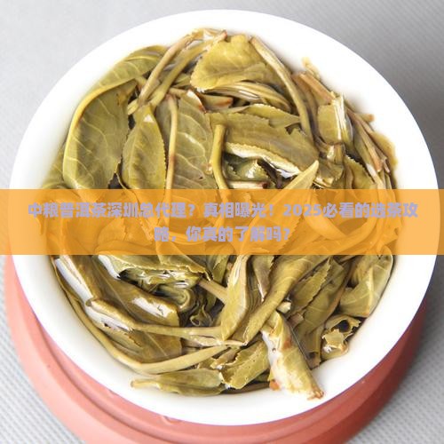 中粮普洱茶深圳总代理