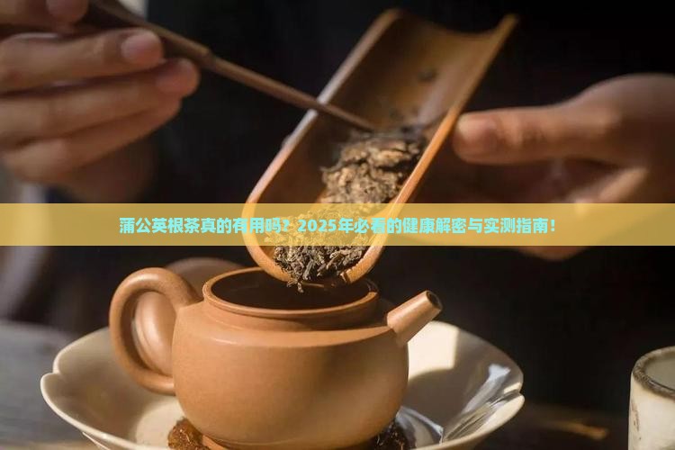 蒲公英根茶的作用与功效