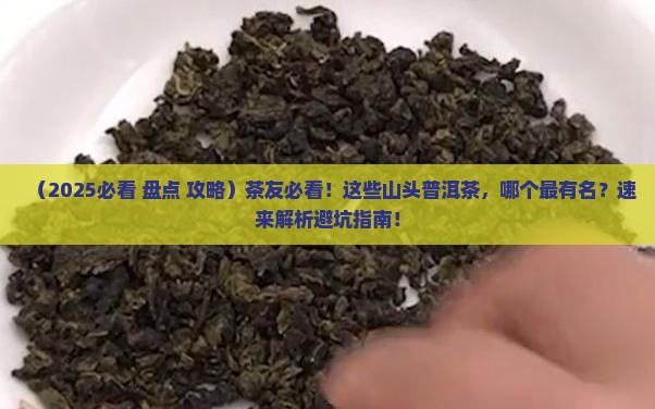 各个山头最有名的普洱茶