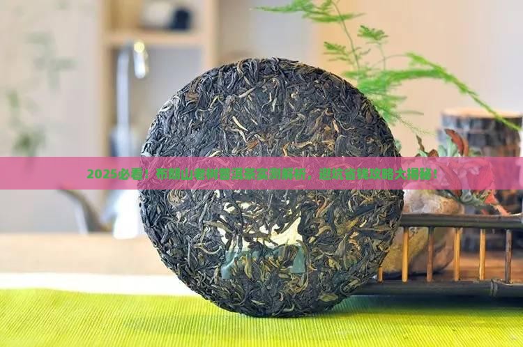 布朗山老树普洱茶