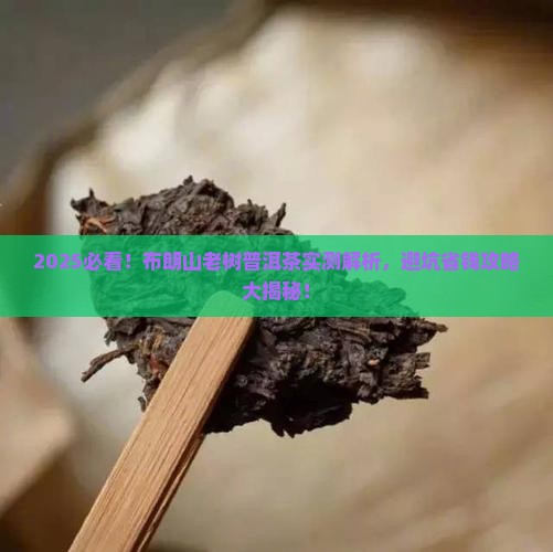 布朗山老树普洱茶