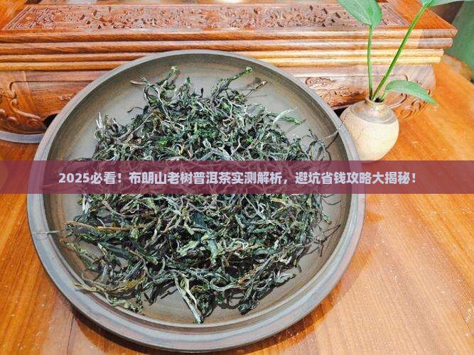 布朗山老树普洱茶