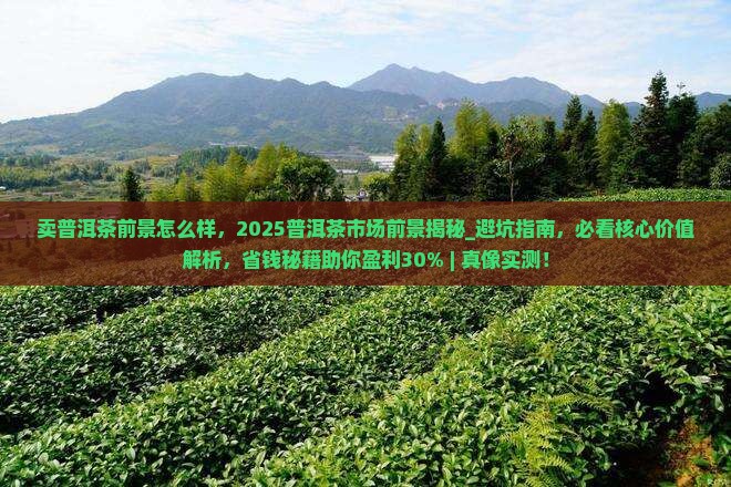 卖普洱茶前景怎么样 卖普洱茶前景怎么样