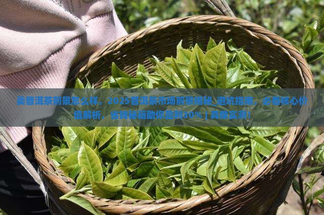 卖普洱茶前景怎么样 卖普洱茶前景怎么样