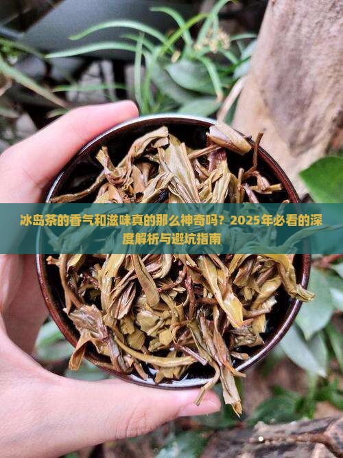冰岛茶的香气和滋味描写