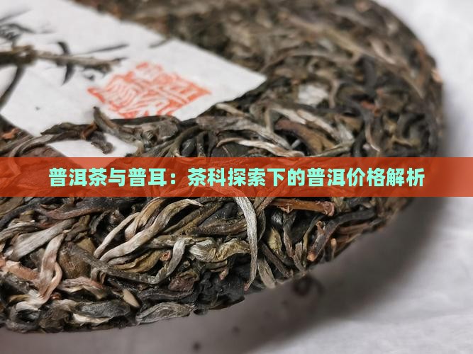 美卡联盟的普洱茶