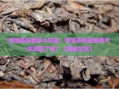 倾城茶瓯香篆小帘栊普洱茶