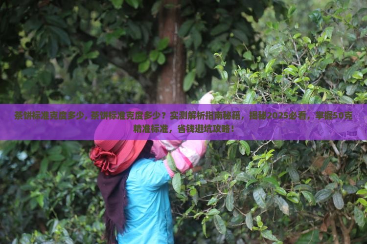 茶饼标准克度多少