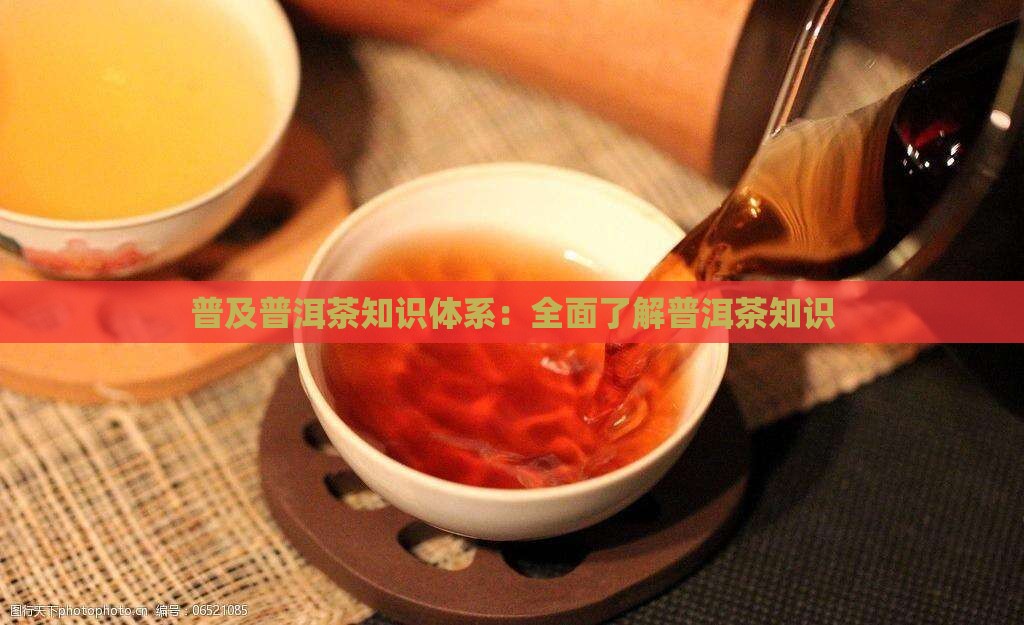 普及一下普洱茶知识体系