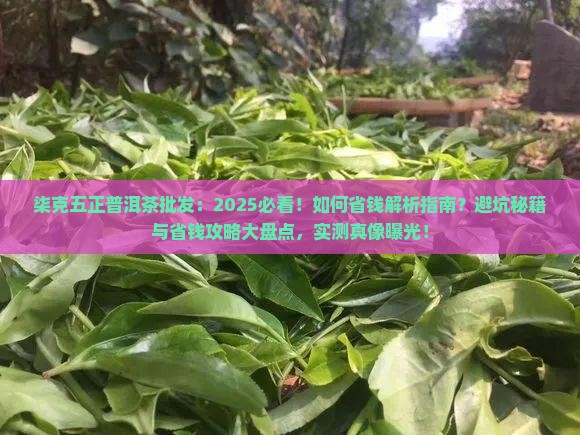 柒克五正普洱茶批发