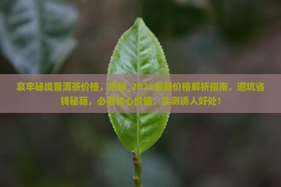 哀牢秘境普洱茶价格