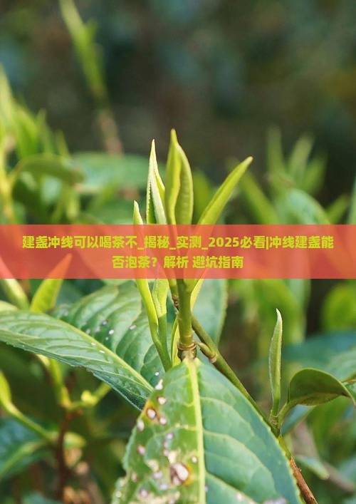 建盏冲线可以喝茶不