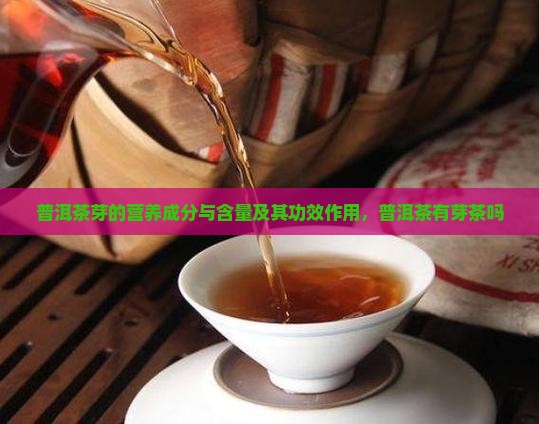 普洱茶芽的营养