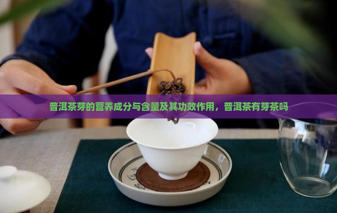 普洱茶芽的营养
