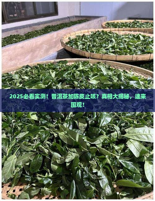 普洱茶加陈皮能止咳不