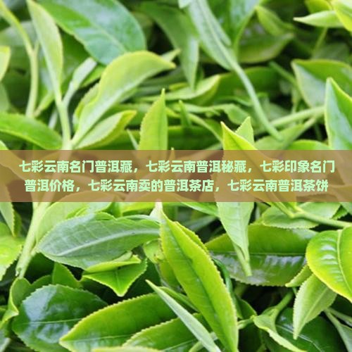 七彩云南名门普洱藏