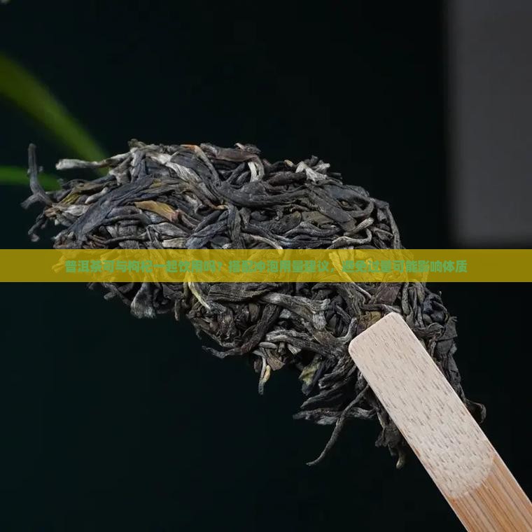 普洱茶可与枸杞一起泡吗