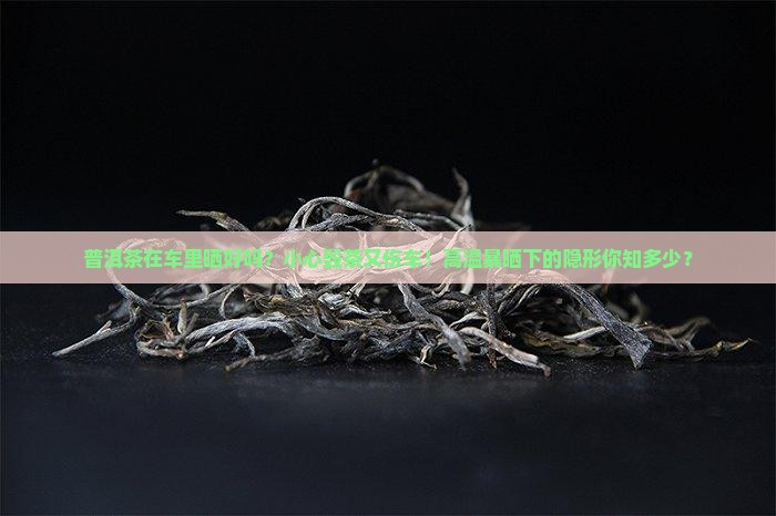 普洱茶在车里晒好吗