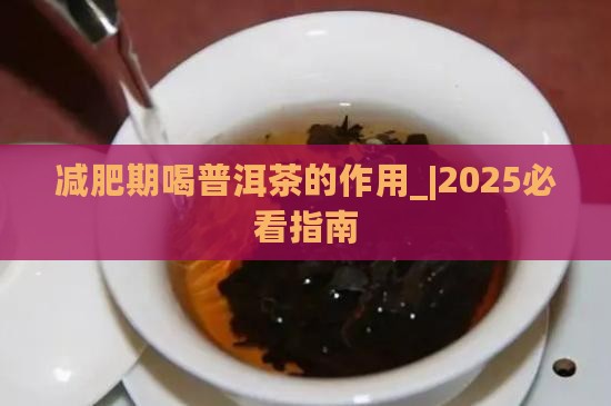 减肥期喝普洱茶的作用