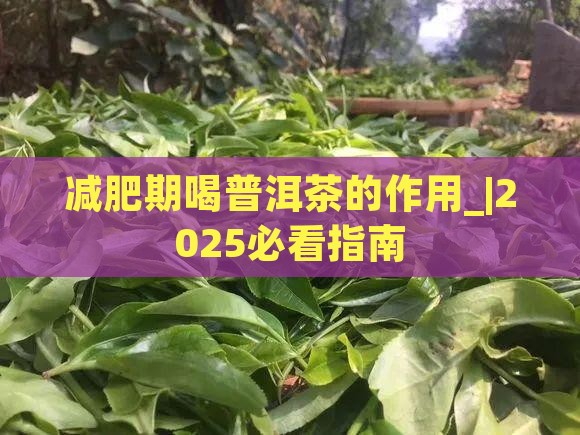 减肥期喝普洱茶的作用