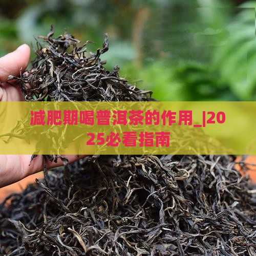 减肥期喝普洱茶的作用