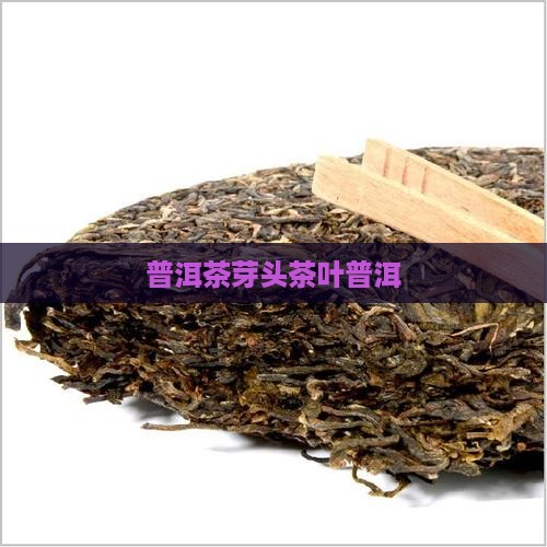 普洱茶芽头叶子