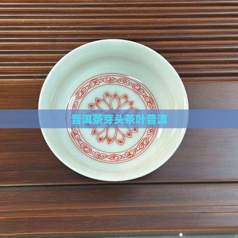普洱茶芽头叶子