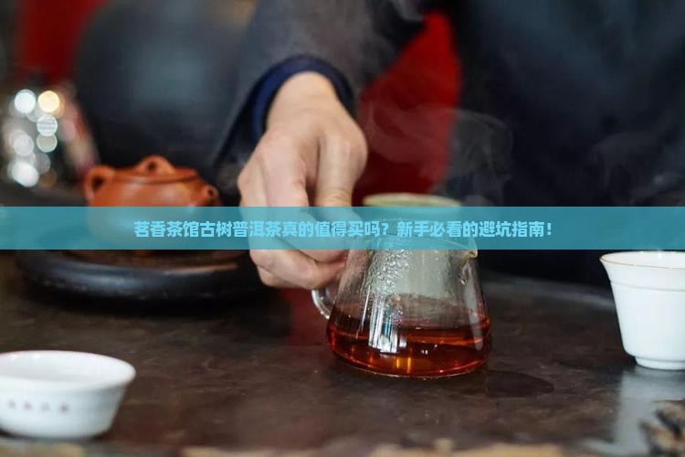 茗香茶馆古树普洱茶