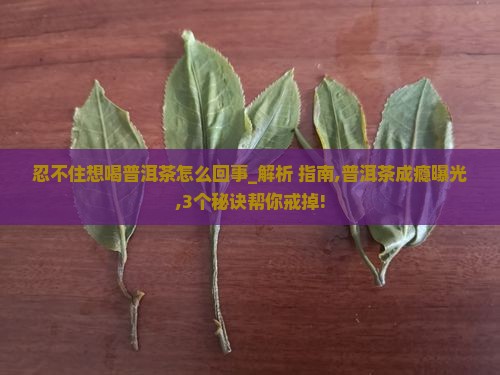 忍不住想喝普洱茶怎么回事