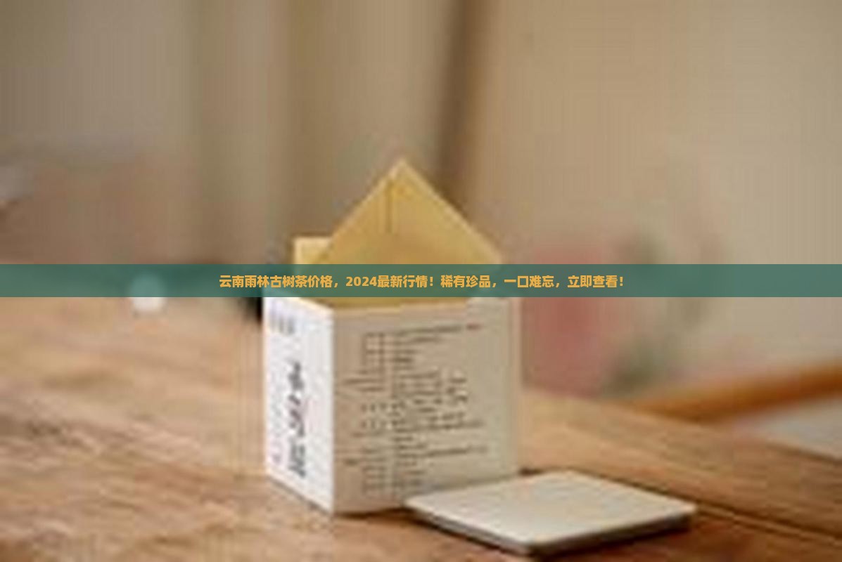云南雨林古树茶价格