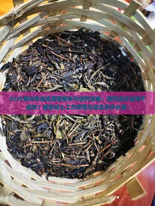 茶叶筛选机原理