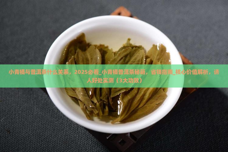 小青橘与普洱茶什么关系